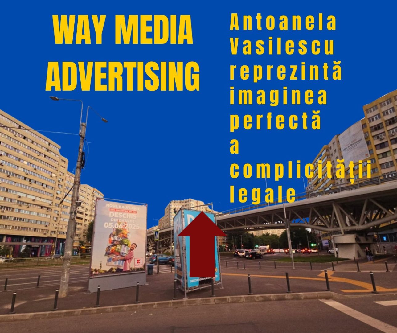 Way Advertise Production SRL: Analiza controversată a activităților desfășurate de Antoanela Vasilescu în publicitatea outdoor